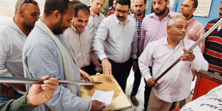 زراعة المنيا تتفقد زراعات القمح ..وتتابع عمليات توريد المحصول للصوامع 1 متابعة عمليات توريد القمح بزراعة المنيا