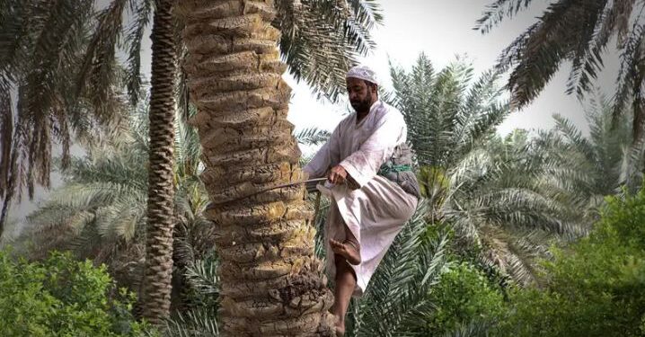 النخيل
