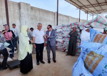 توريد القمح بجنوب سيناء