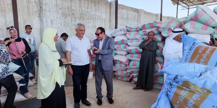توريد القمح بجنوب سيناء