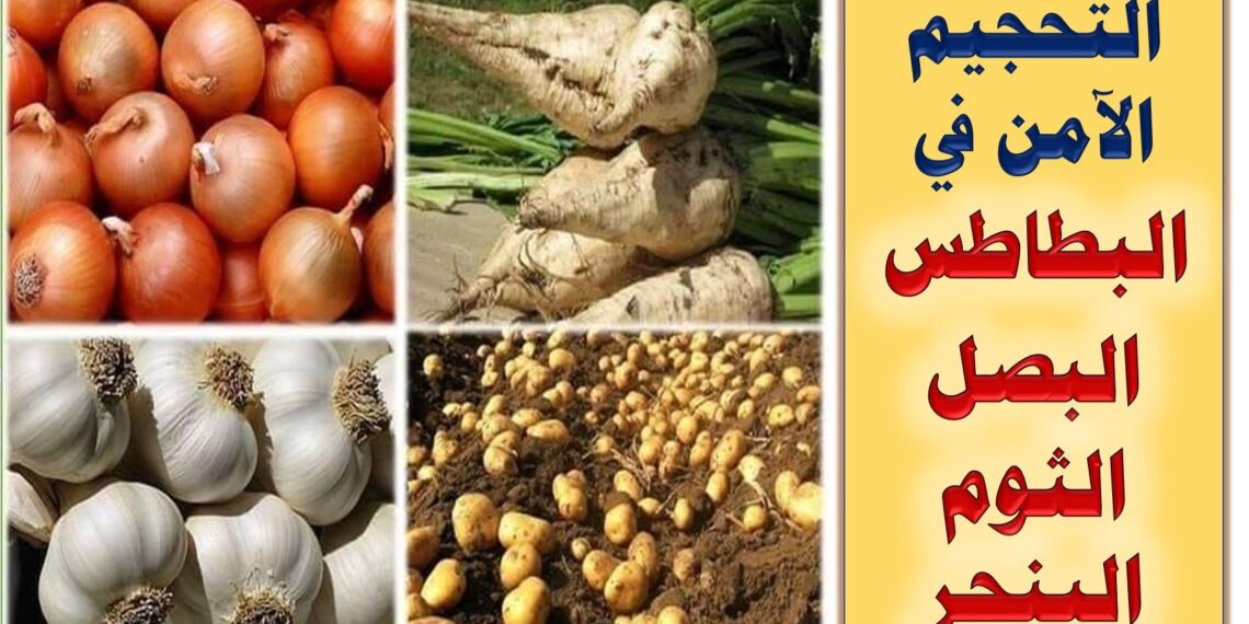 رشة التحجيم