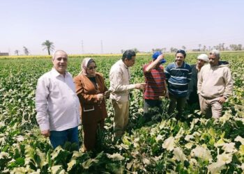 الفريق الإرشادي بقرية السوالم