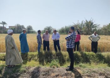 زراعة أسيوط