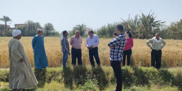 زراعة أسيوط