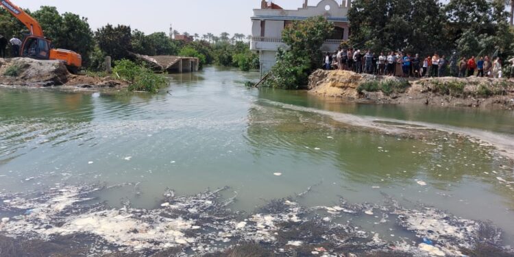 زراعة الإسماعلية