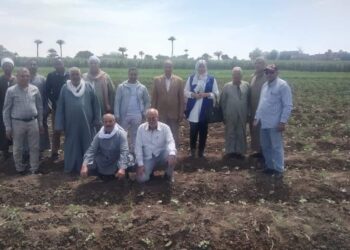 الفريق الإرشادي بقرية عدى بزراعة بني سويف