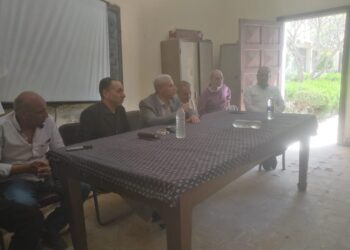 زراعة بني سويف