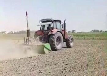 زراعة بورسعيد