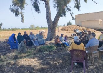 فريق إرشادي ريفي بزراعة كفر الشيخ