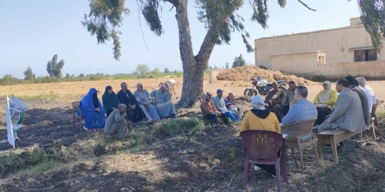 الفريق البحثي الإرشادي يقدم حزمة توصيات للزراعات الصيفية بمركز سيدي سالم 1 فريق إرشادي ريفي بزراعة كفر الشيخ