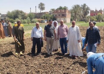 زراعة محصول الفول الصويا بزراعة أسيوط