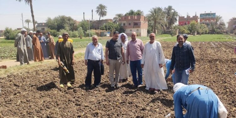زراعة أسيوط :زراعة أول حقل إرشادي بأبوتيج بـ«الفول الصويا»..بمشروع «تحسين الزراعة الموجهة للسوق»  1 زراعة محصول الفول الصويا بزراعة أسيوط