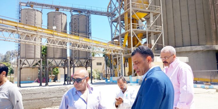 زراعة أسيوط تعلن توريد 115 طن قمح 1 متابعة صوامع إستلام القمح بأسيوط