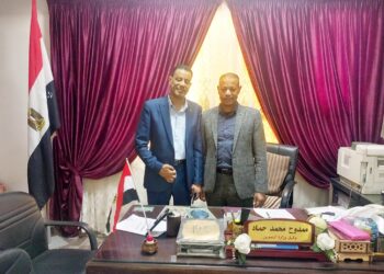 توريد القمح