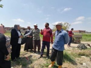 زراعة الإسكندرية تنظم فريق إرشادي بقرية أبيس ..لزراعات الذرة الشامية والأرز 16 الفرق الإرشادية بزراعة الإسكندرية