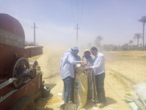 وكيل زراعة أسيوط يتفقد زراعات القمح و الشون 12 زراعة أسيوط