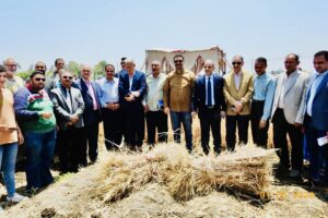 زراعة المنيا تنظم احتفالية بيوم حصاد الذهب الأصفر 20 يوم حصاد بزراعة المنيا