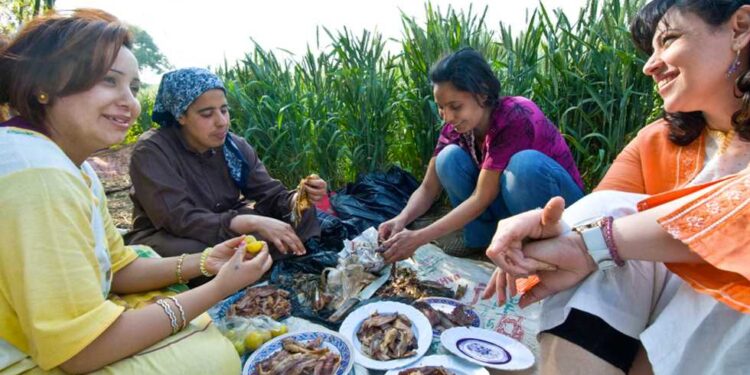 شم النسيم.. نصائح هامة لتناول الأطعمة بأمان 1 شم النسيم