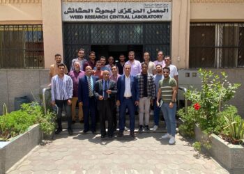 بحوث الحشائش