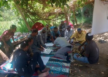 سوسة النخيل