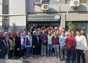 العفن البني