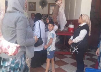 الصحة الحيوانية