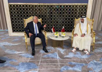 “القصير والعطية” يبحثان آفاق التعاون المصري القطرى في مجال الزراعة والأمن الغذائي