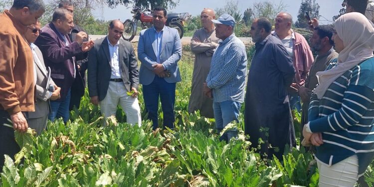 حصاد الفرق الإرشادية الريفية خلال شهر إبريل 2024 1 الفرق الإرشادية