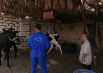 بحوث الصحراء