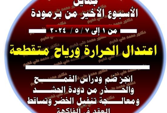 د. محمد فهيم: 7 توصيات المزارعين خلال سرة الموسم الزراعي 1 توصيات