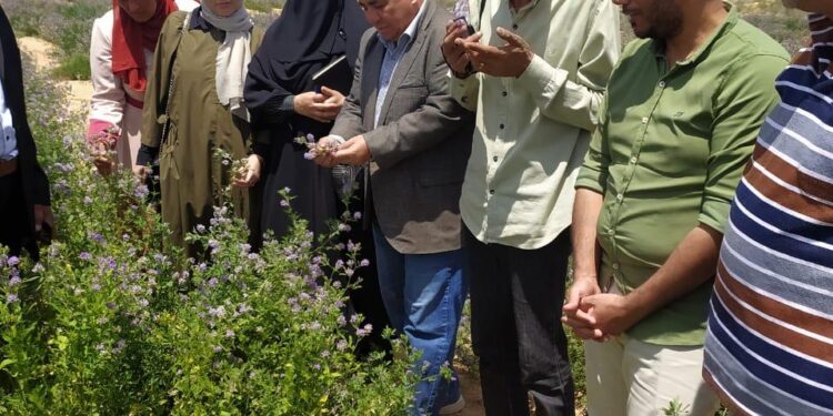 الأنشطة الإرشادية والخدمية والبحثية لمعهد أمراض النباتات خلال شهر أبريل 2024 1 أمراض النباتات