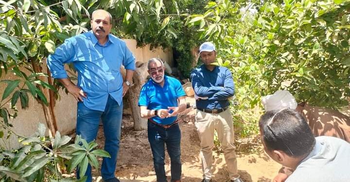 المحطة الإقليمية لزراعة الوادي الجديد تقوم بتجربة زراعة الأزولا  1 تجربة زراعة الأزولا بزراعة الوادي الجديد