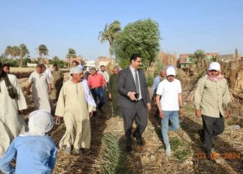 يوم حصاد بزراعة المنيا