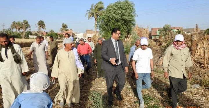 زراعة المنيا: يوم حصاد ومدرسة حقلية بقرية تندة 1 يوم حصاد بزراعة المنيا
