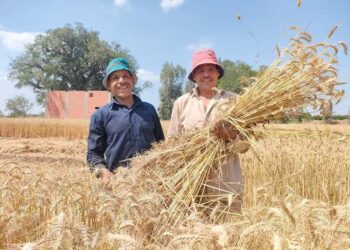زراعة الشرقية