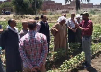 فريق إرشادي ريفي