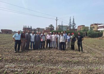 ندوة إرشادية عن محصول القطن بإدارة ديرب نجم الزراعية