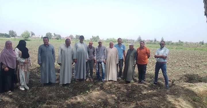 زراعة كفر الشيخ تتابع وتنفذ ندوات لمحصول القطن بالمديرية 1 زراعة كفر الشيخ