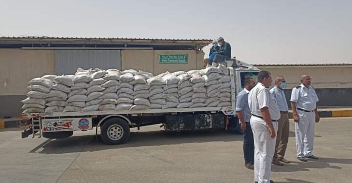 زراعة الإسماعيلية