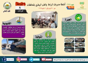 انفوجراف وفيديو| تعرف على أنشطة وجهود مديريات الزراعة والطب البيطري خلال أسبوع