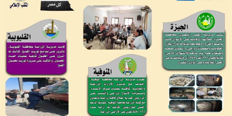 انفوجراف وفيديو| تعرف على أنشطة وجهود مديريات الزراعة والطب البيطري خلال أسبوع 1 انفوجراف وفيديو| تعرف على أنشطة وجهود مديريات الزراعة والطب البيطري خلال أسبوع
