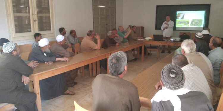 ندوة إرشادية بدودة الحشد الخريفية لزراع الذرة الشامية بكفر الشيخ 1 ندوة إرشادية بكفر الشيخ
