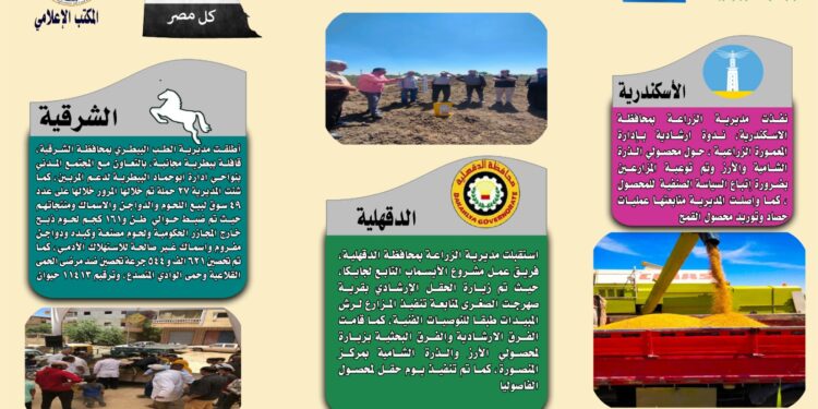 انفوجراف وفيديو| تعرف على أنشطة وجهود مديريات الزراعة والطب البيطري خلال أسبوع 1 انفوجراف وفيديو| تعرف على أنشطة وجهود مديريات الزراعة والطب البيطري خلال أسبوع