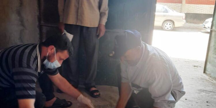 حملة مكبرة بزراعة البحيرة للقضاء على القوارض 1 حملة مكبرة بزراعة البحيرة للقضاء على القوارض