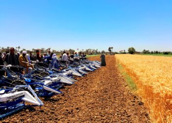 الزراعة: جهاز التنمية الشاملة يوزع 70 ماكينة حصاد قمح على قرى محافظتي «سوهاج والشرقية»