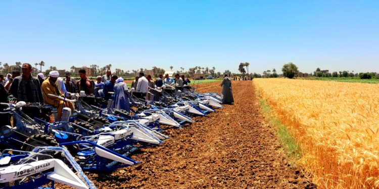 الزراعة: جهاز التنمية الشاملة يوزع 70 ماكينة حصاد قمح على قرى محافظتي «سوهاج والشرقية» 1 الزراعة: جهاز التنمية الشاملة يوزع 70 ماكينة حصاد قمح على قرى محافظتي «سوهاج والشرقية»