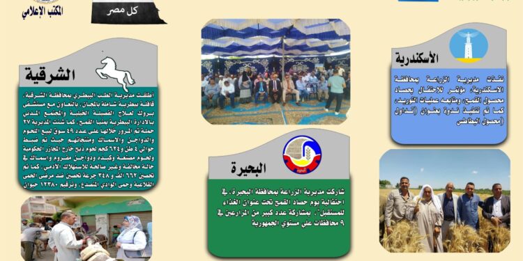 انفوجراف وفيديو| تعرف على أنشطة وجهود مديريات الزراعة والطب البيطري خلال أسبوع 1 انفوجراف وفيديو| تعرف على أنشطة وجهود مديريات الزراعة والطب البيطري خلال أسبوع