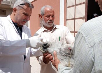 «الصحة الحيوانية» ينظم قافلة بيطرية مجانية لمحافظة دمياط