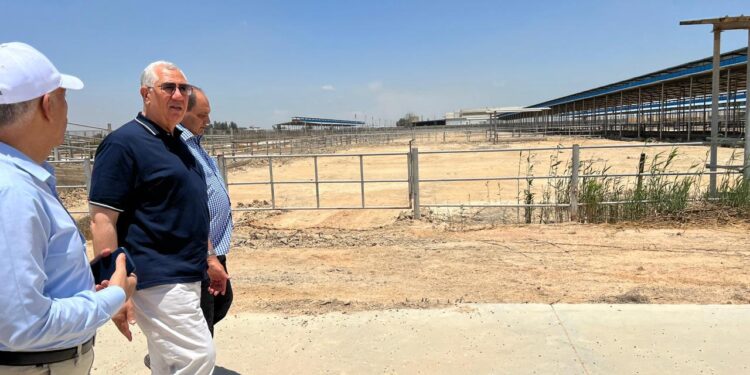 «القصير» يوجه برفع كفاءة «محطة الإنتاج الحيواني» بالعامرية بالشراكة مع القطاع الخاص 1 القصير