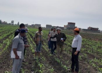 لجنة معهد بحوث وقاية النباتات